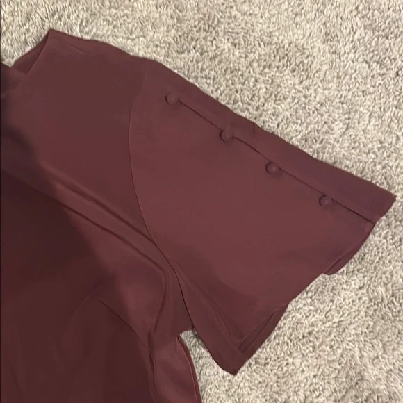 Elegant Burgundy Dress - Picture 4 of 6